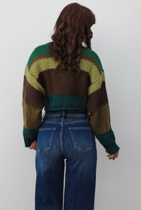 Keep Me Warm Sweater: Green/Multi