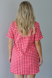 Woman wearing a pink and red gingham collared neckline t-shirt dress indoors against a white wall. The photo shows a closeup of the back of the dress.