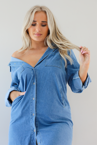 Look Down Dress: Denim