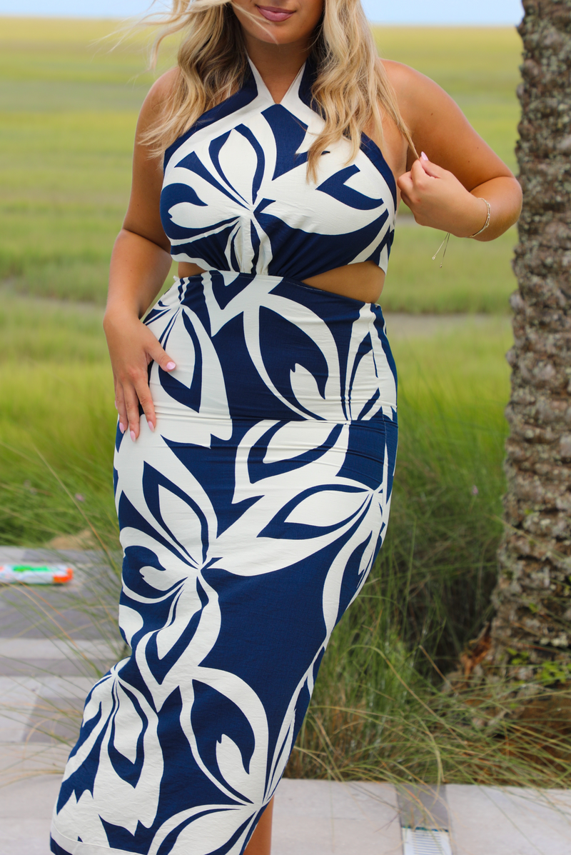 On A Holiday Midi Dress: Navy/Cream
