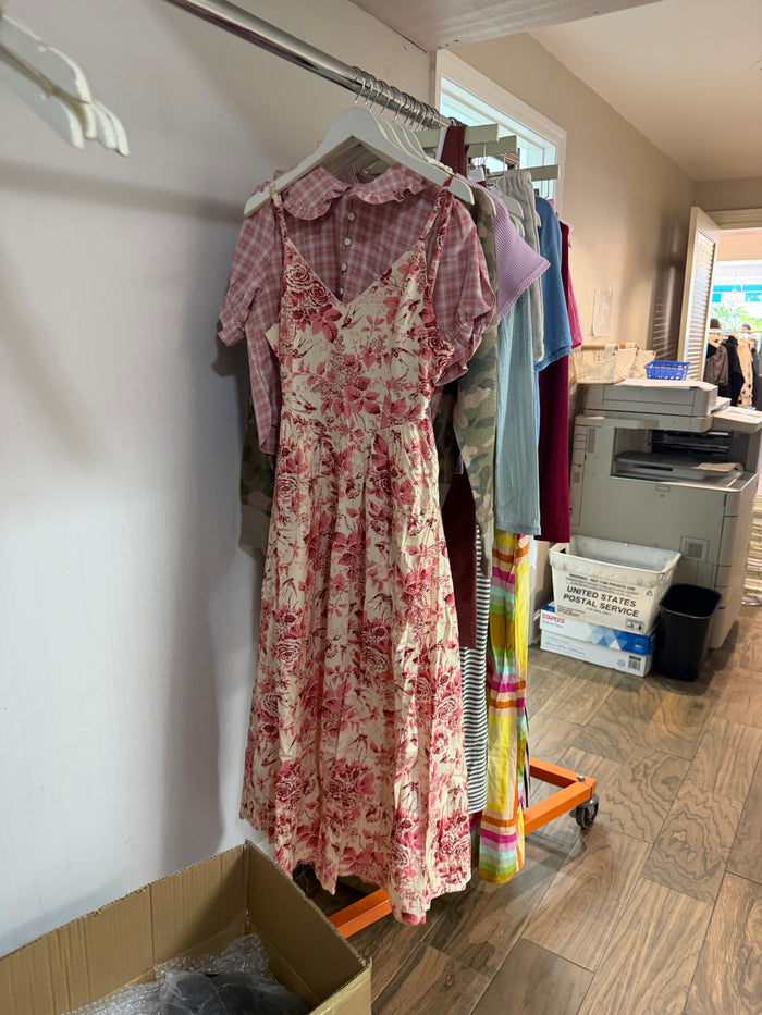 Bring It Back Maxi Dress: Pink/Cream